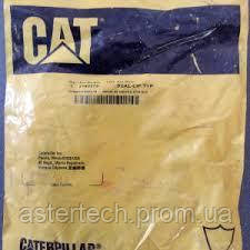 Сальник Cat