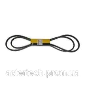 Ремінь Cat M / M
