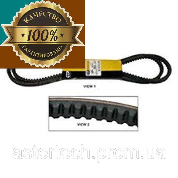 Ремінь Cat L